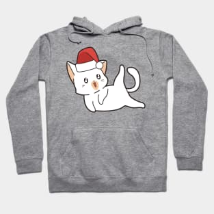 Chistmas Cat Hoodie